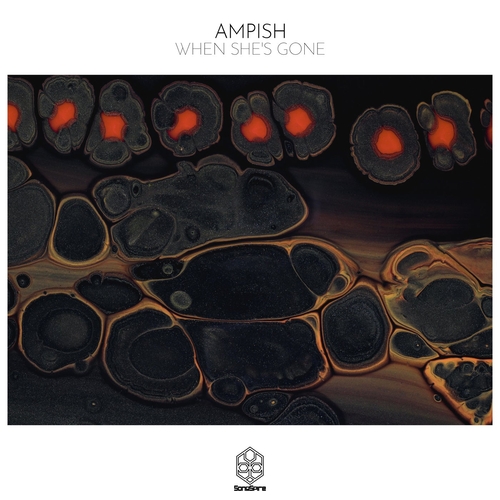 AMPISH - When She's Gone [SSR237]